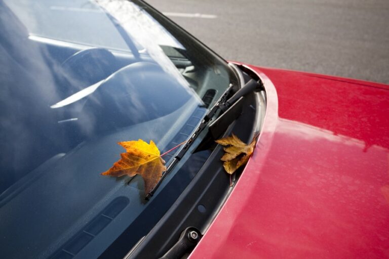 What you Need to Know About Acoustic Windshield Screen